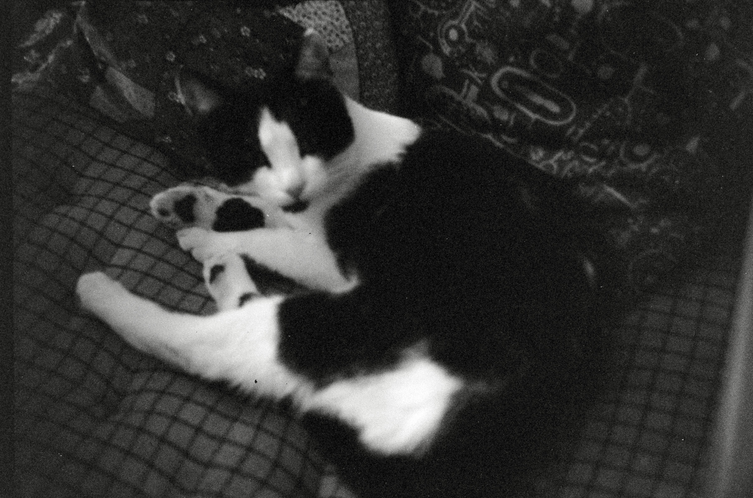 AHP F1994 06 003 sc240829 img05 NLP